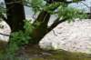 eifel2020_045_small.jpg