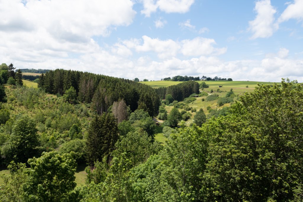 eifel2020_053.jpg