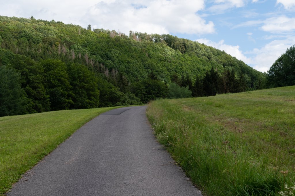 eifel2020_058.jpg