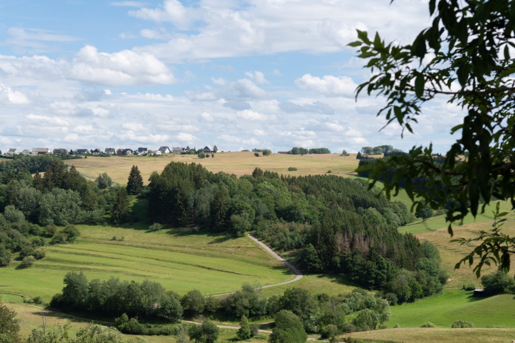 eifel2020_060.jpg