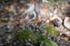 eifel2020_062_small.jpg