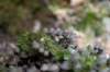 eifel2020_063_small.jpg
