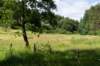 eifel2020_064_small.jpg