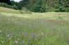 eifel2020_065_small.jpg