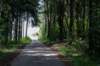 eifel2020_066_small.jpg