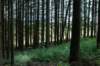 eifel2020_068_small.jpg
