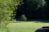 eifel2020_070_small.jpg
