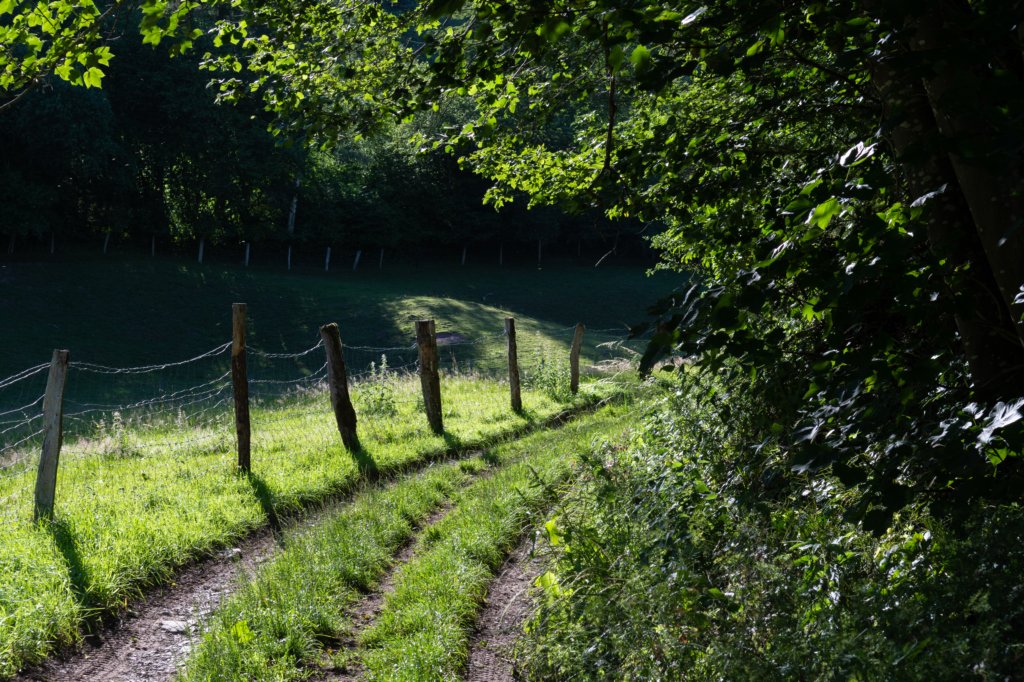 eifel2020_071.jpg