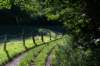 eifel2020_071_small.jpg