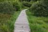 eifel2020_074_small.jpg