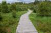 eifel2020_075_small.jpg