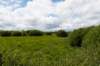 eifel2020_077_small.jpg