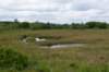 eifel2020_078_small.jpg