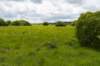 eifel2020_079_small.jpg