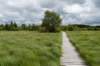 eifel2020_081_small.jpg