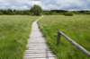eifel2020_082_small.jpg