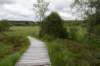 eifel2020_083_small.jpg