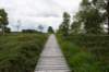eifel2020_084_small.jpg