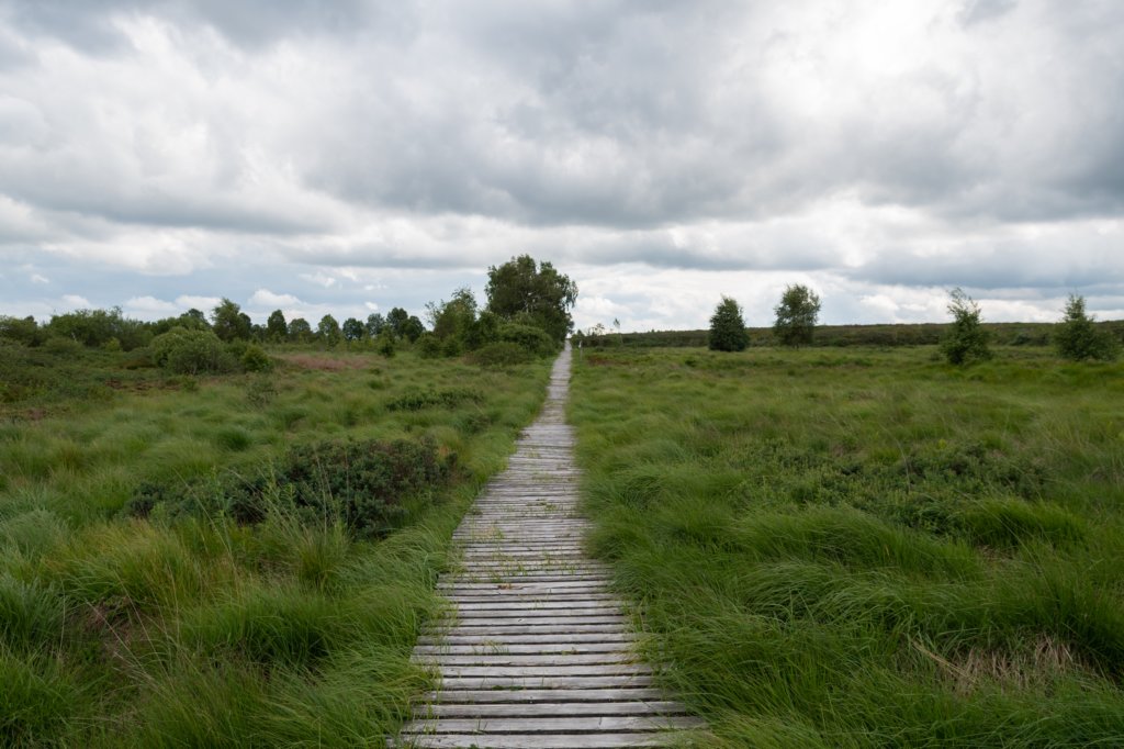 eifel2020_089.jpg