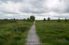 eifel2020_089_small.jpg