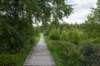 eifel2020_090_small.jpg