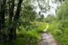 eifel2020_091_small.jpg