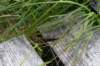 eifel2020_092_small.jpg