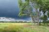 eifel2020_097_small.jpg