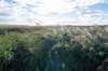 friesland_044_small.jpg