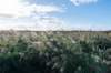 friesland_045_small.jpg