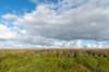 friesland_047_small.jpg