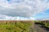 friesland_048_small.jpg