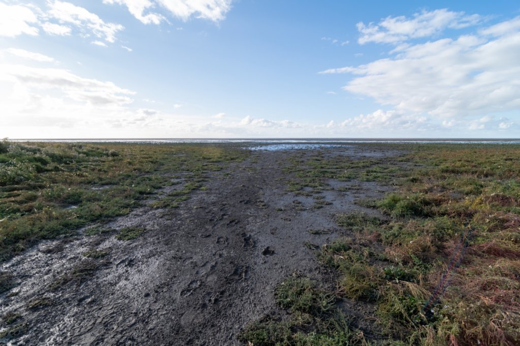 friesland_049.jpg