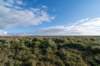 friesland_050_small.jpg