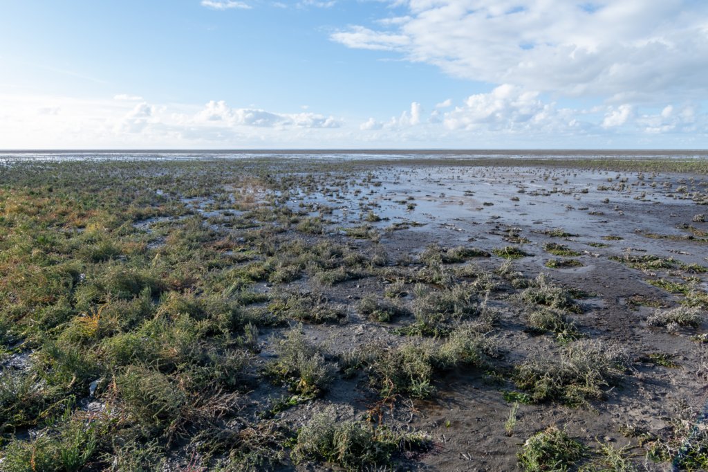 friesland_051.jpg