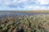 friesland_052_small.jpg