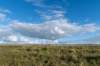 friesland_053_small.jpg