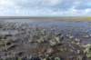 friesland_054_small.jpg
