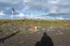 friesland_055_small.jpg