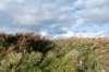 friesland_056_small.jpg