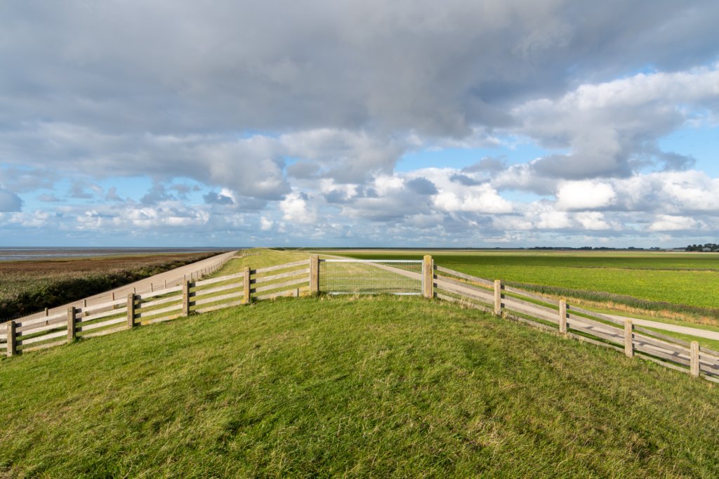 friesland_058.jpg