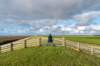 friesland_059_small.jpg