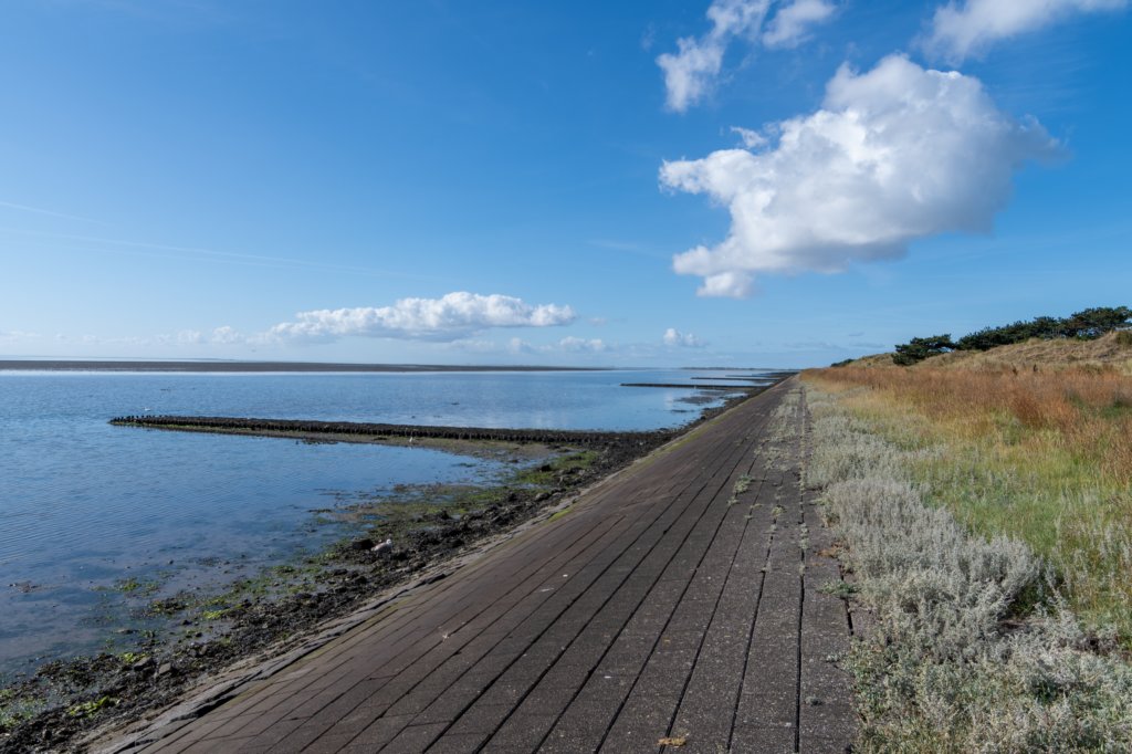 friesland_062.jpg