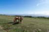 friesland_066_small.jpg