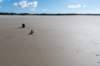 friesland_071_small.jpg
