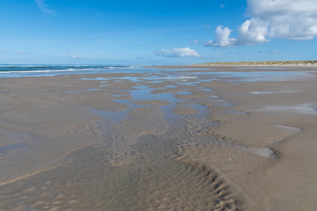 friesland_072.jpg