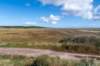 friesland_074_small.jpg