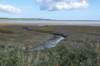 friesland_077_small.jpg