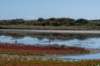 friesland_078_small.jpg
