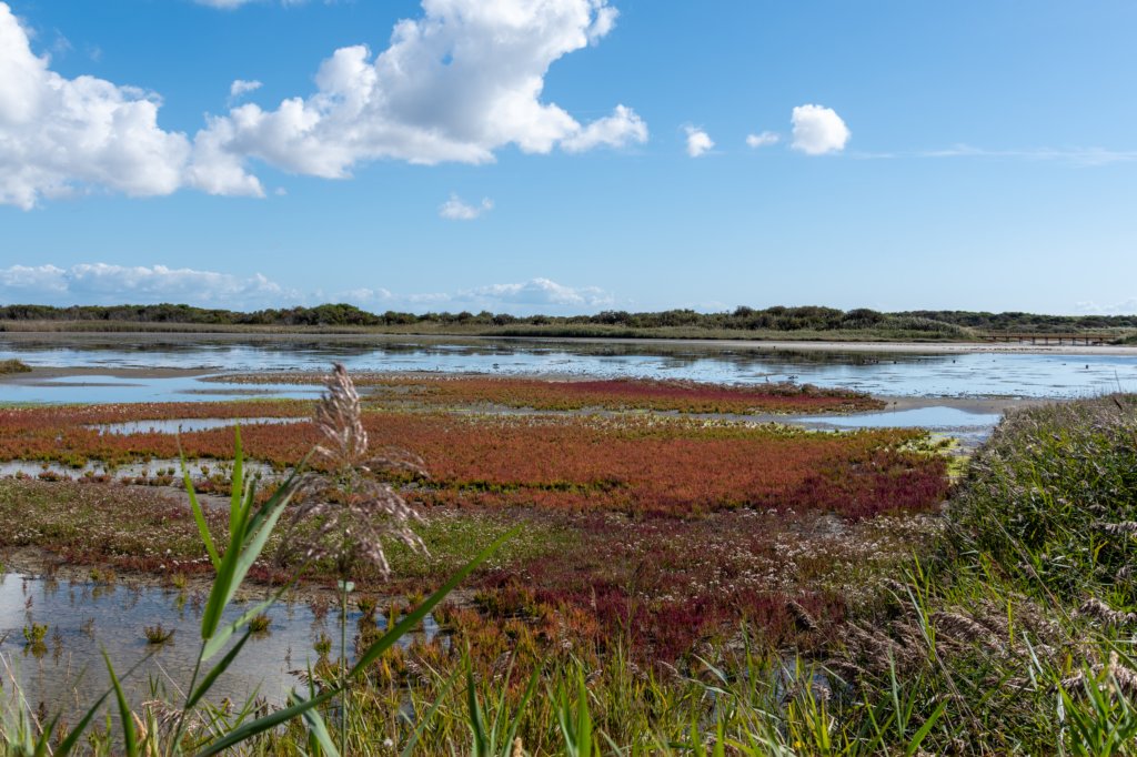 friesland_079.jpg